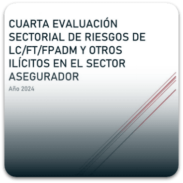 Año 2024