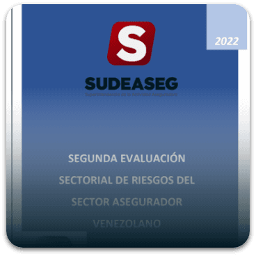 Año 2022