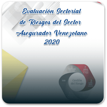 Año 2020